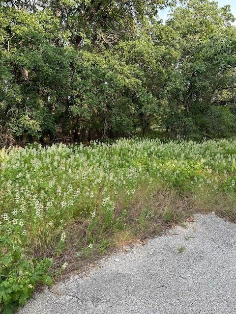 3.760 Acres Boyd Road Property Photo 4