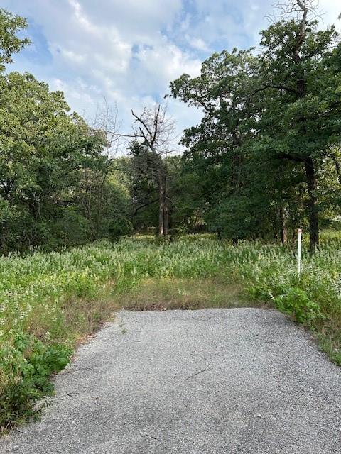 3.760 Acres Boyd Road Property Photo 5