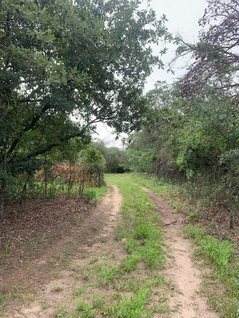 3.78 Acres Boyd Road Property Photo 5