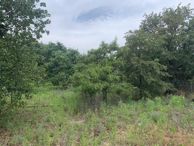 3.78 Acres Boyd Road Property Photo 6