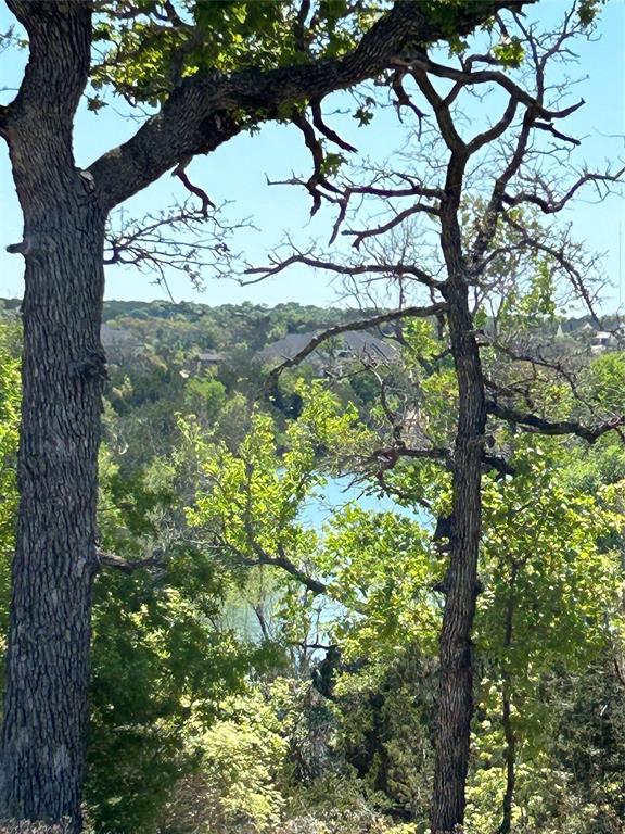 1153 Eagles Bluff Drive Property Photo 3