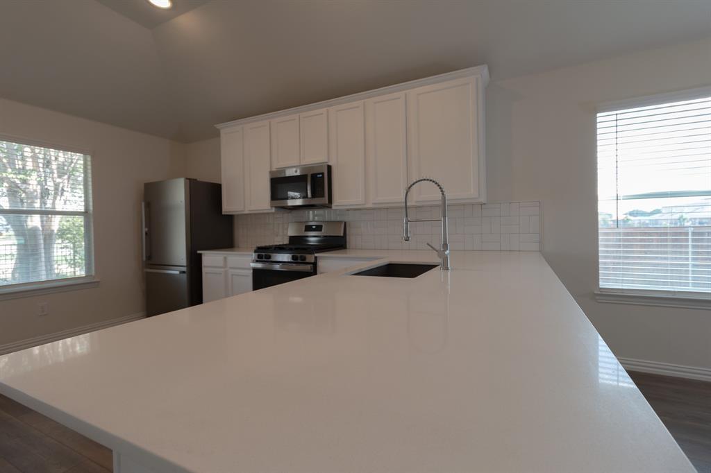 13200 Ragged Spur Court Property Photo 11