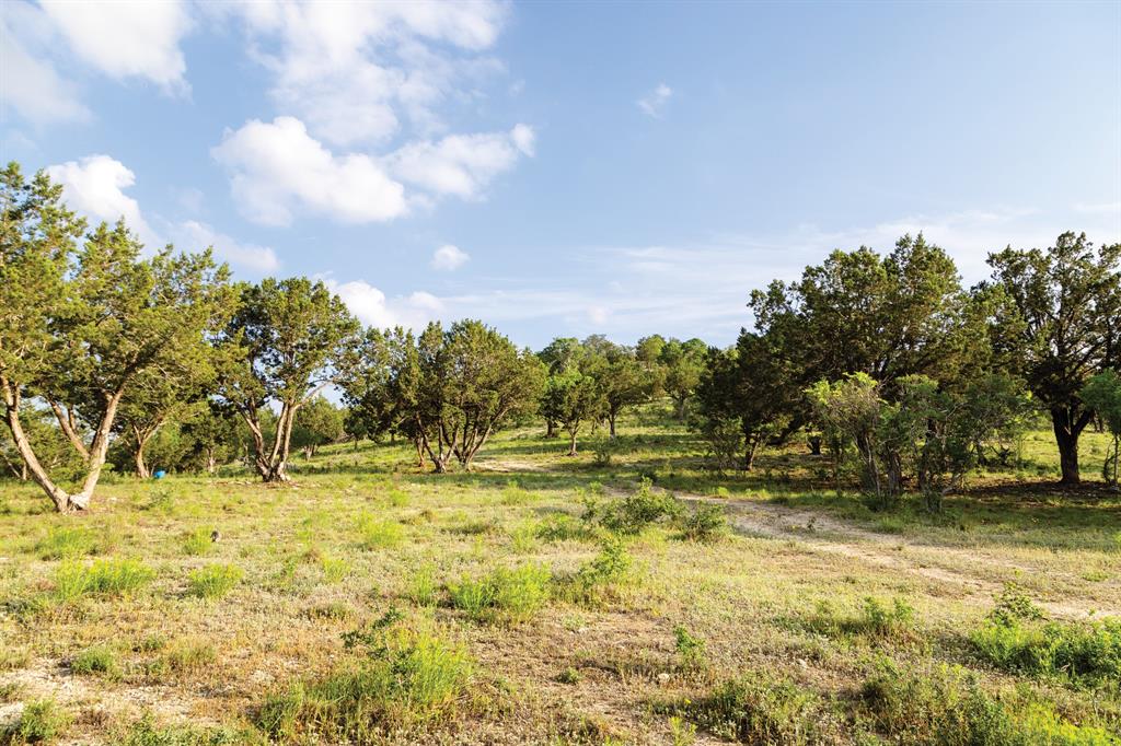 223 Flat Rock Creek Road Property Photo 8