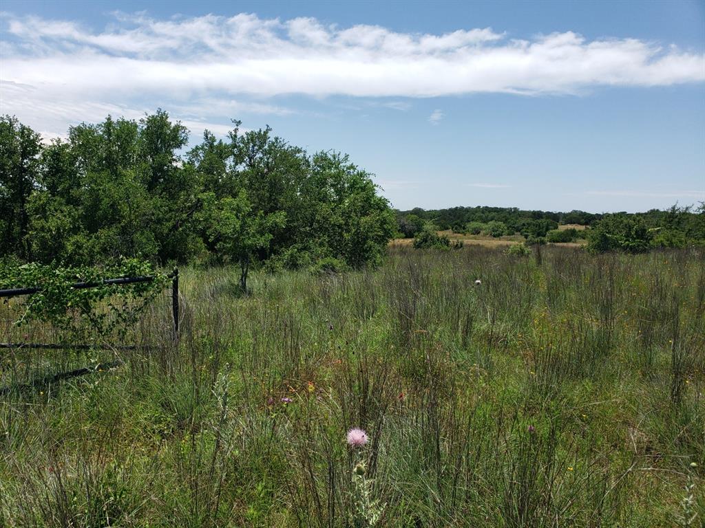 Tbd Lot 37 Fm 580 E 0123 Property Photo 2