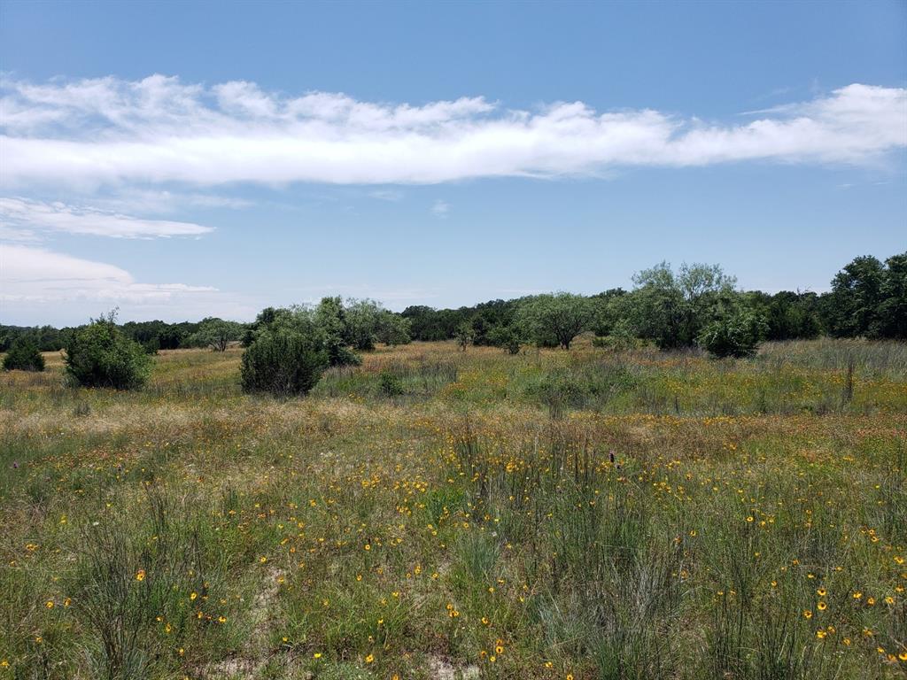 Tbd Lot 37 Fm 580 E 0123 Property Photo 3