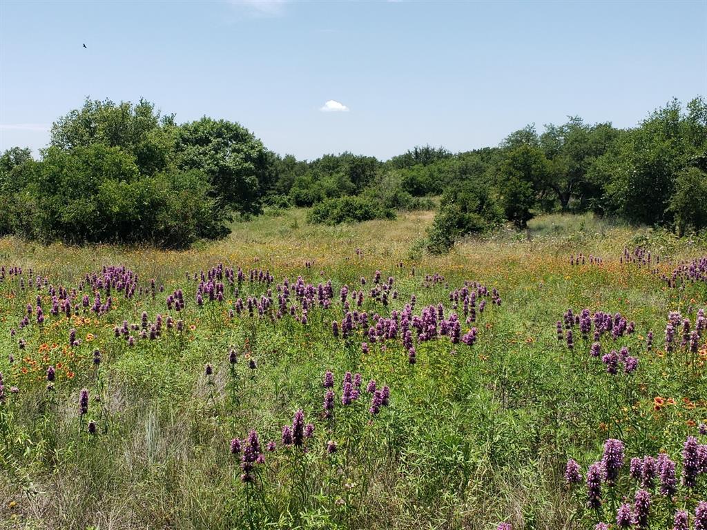 Tbd Lot 37 Fm 580 E 0123 Property Photo 6