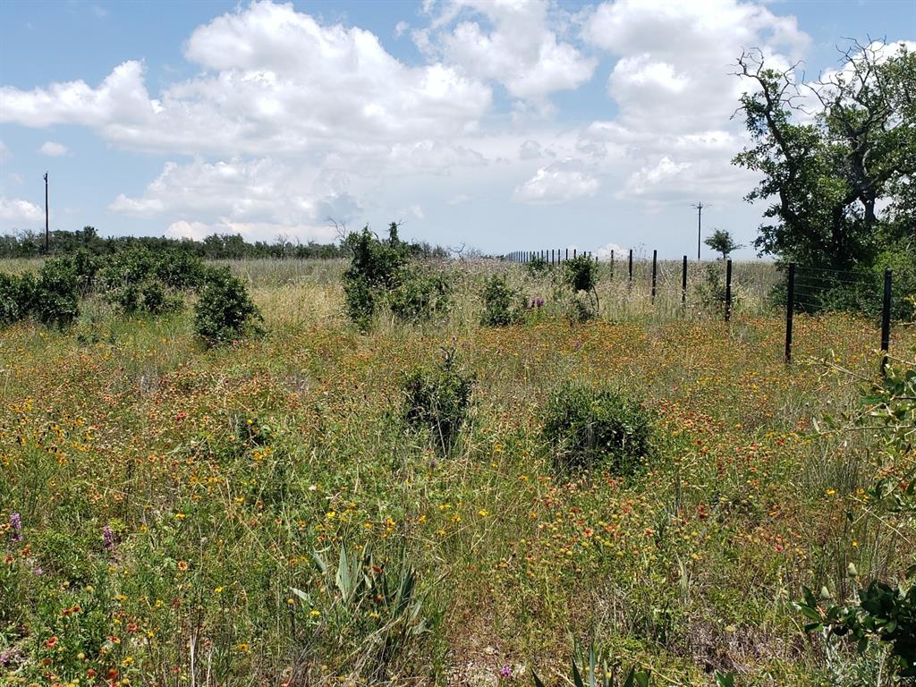 Tbd Lot 37 Fm 580 E 0123 Property Photo 7
