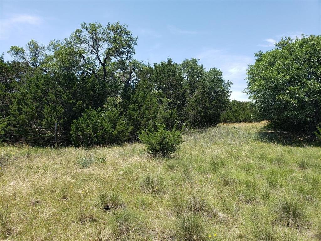 Tbd Lot 37 Fm 580 E 0123 Property Photo 8