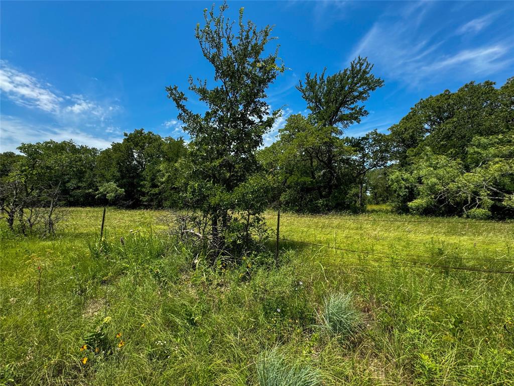 0000 Fm-2127 Property Photo 9
