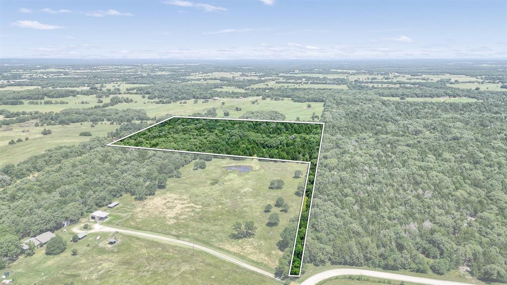 Tbd Cr 113 Property Photo 6