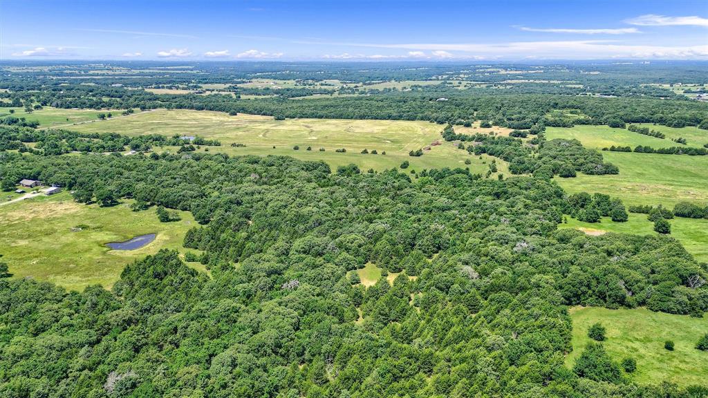 Tbd Cr 113 Property Photo 7