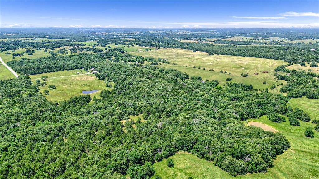 Tbd Cr 113 Property Photo 8