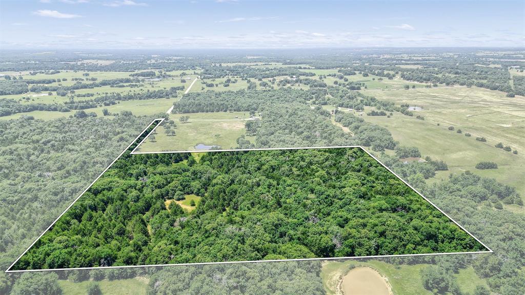 Tbd Cr 113 Property Photo 11