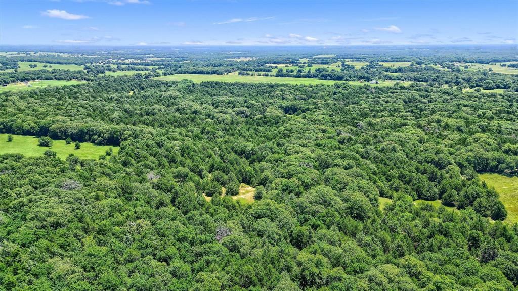 Tbd Cr 113 Property Photo 15