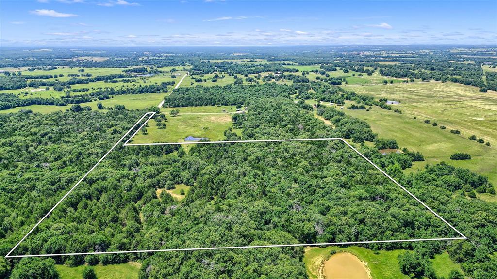 Tbd Cr 113 Property Photo 16
