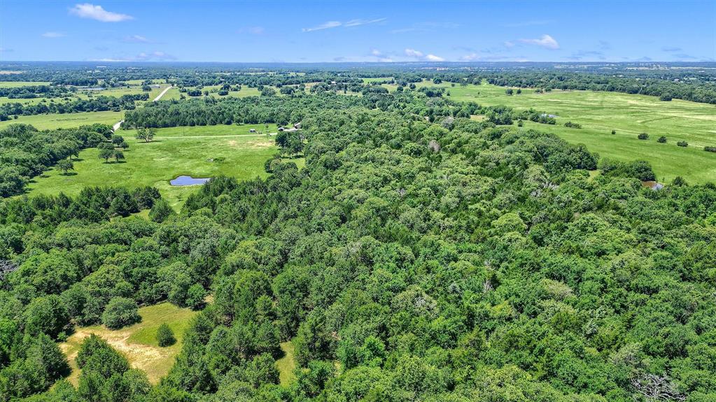 Tbd Cr 113 Property Photo 18
