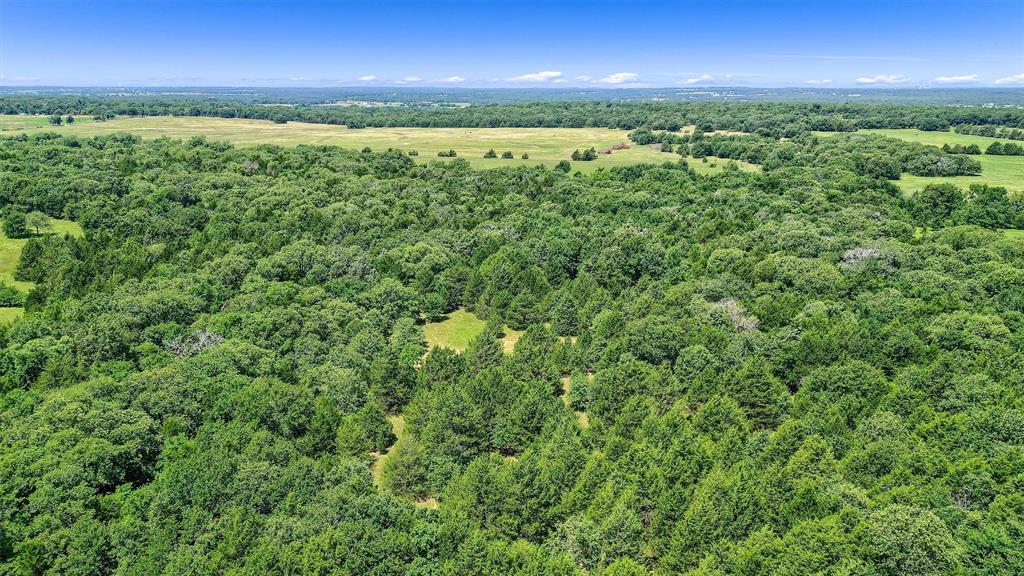 Tbd Cr 113 Property Photo 20