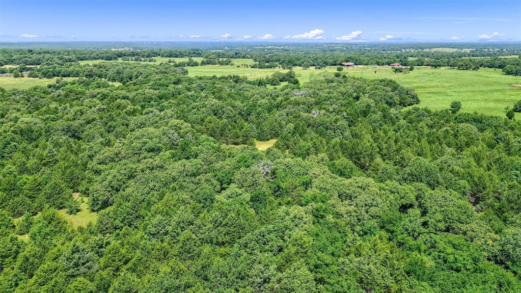 Tbd Cr 113 Property Photo 21
