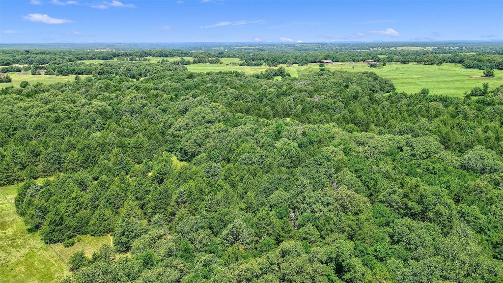 Tbd Cr 113 Property Photo 22