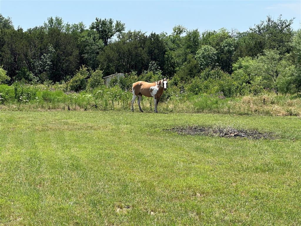 1791 Crawford Lane Property Photo 9