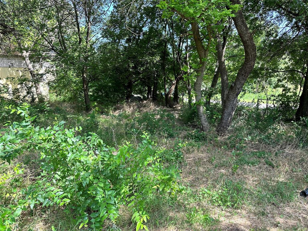 4203 Cree Trail Property Photo 1