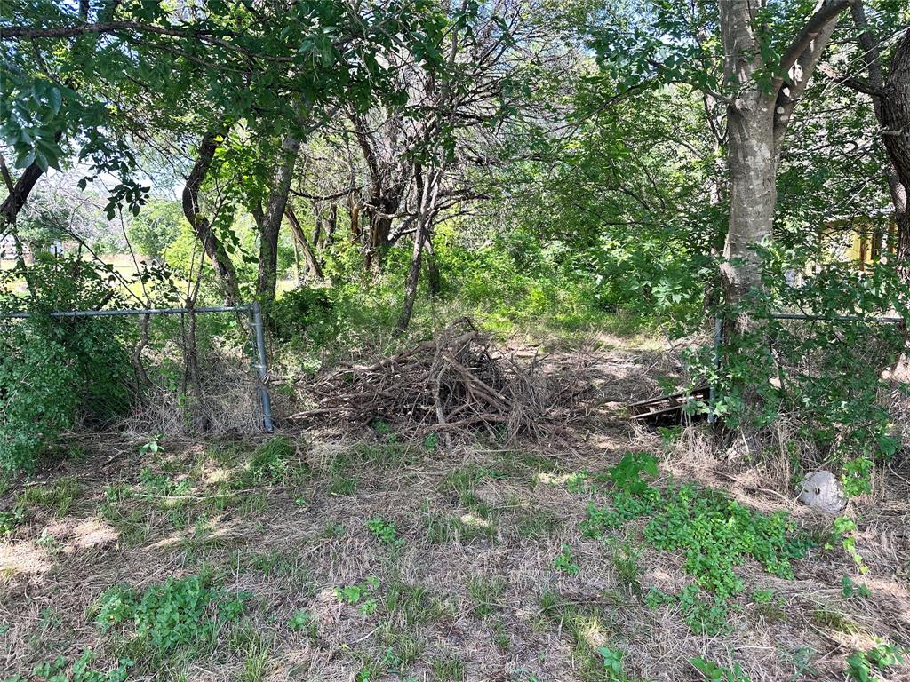 4203 Cree Trail Property Photo 3