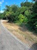 4203 Cree Trail Property Photo 4