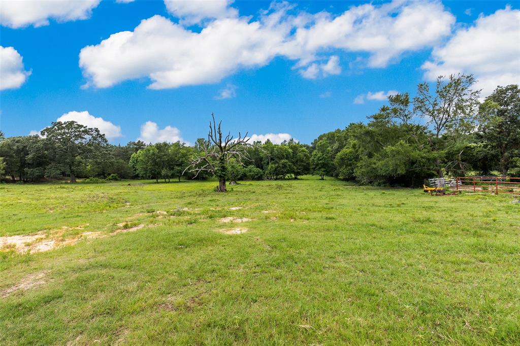 1517 County Road Sw 3170 Property Photo 28