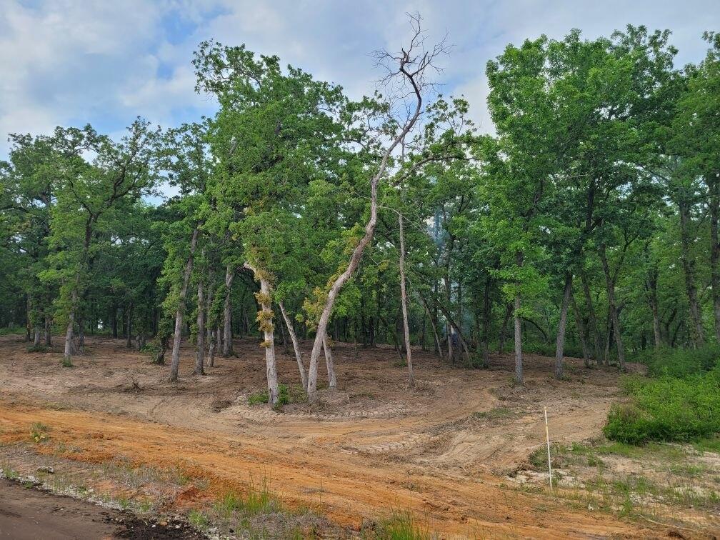 159 Three Lakes Ranch Property Photo 6