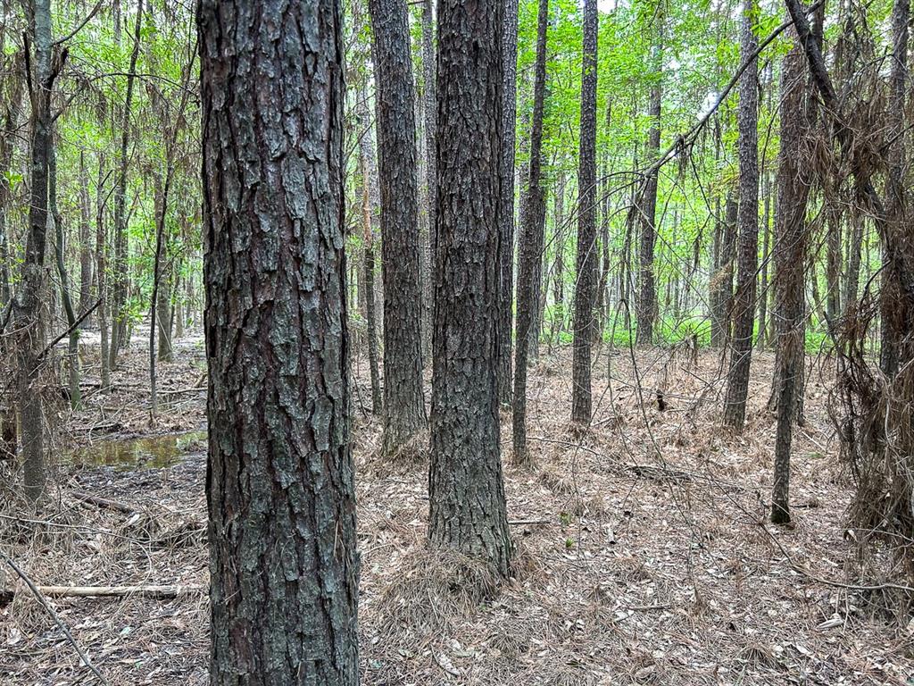 0 County Line Road Property Photo 1