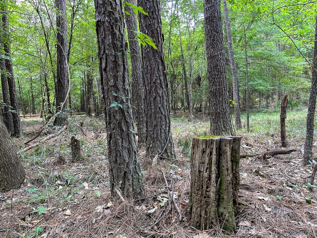 0 County Line Road Property Photo 4
