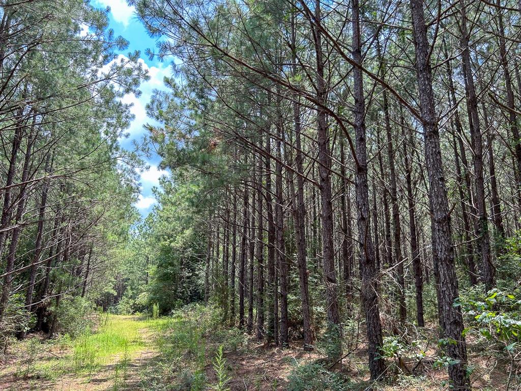 0 County Line Road Property Photo 11