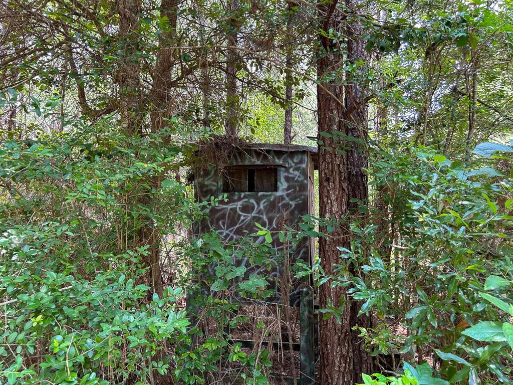 0 County Line Road Property Photo 12
