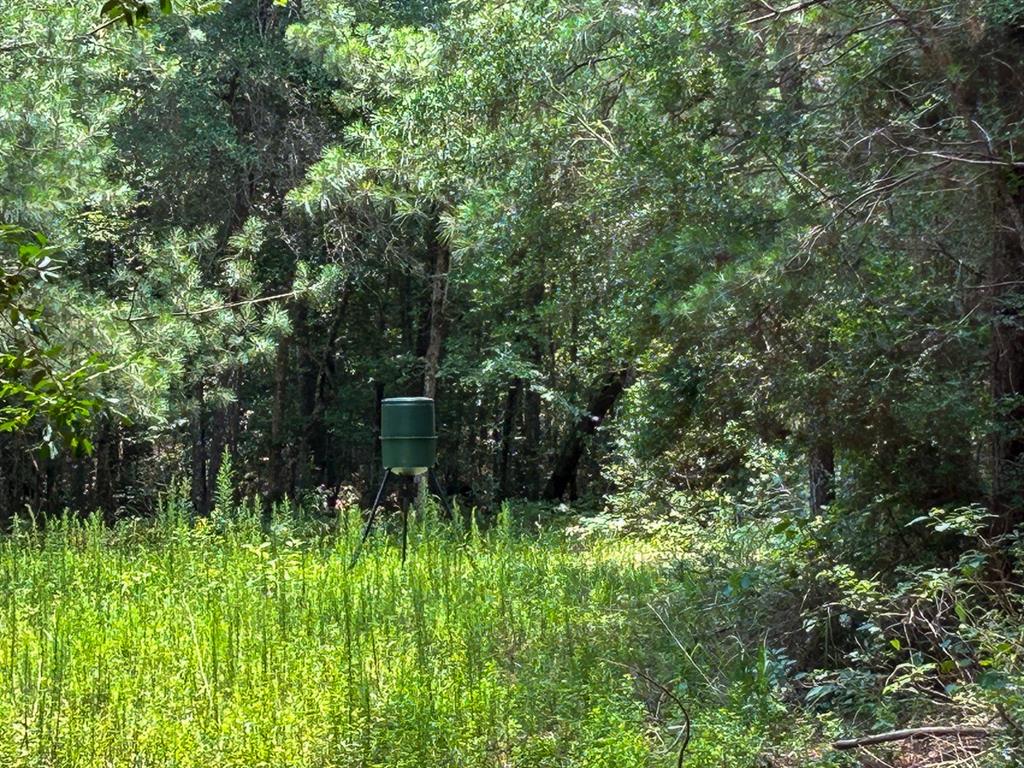 0 County Line Road Property Photo 13