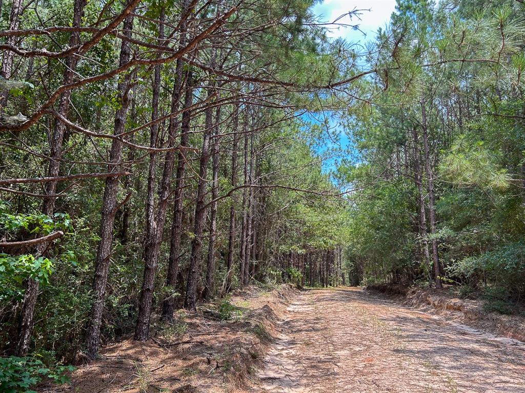 0 County Line Road Property Photo 14