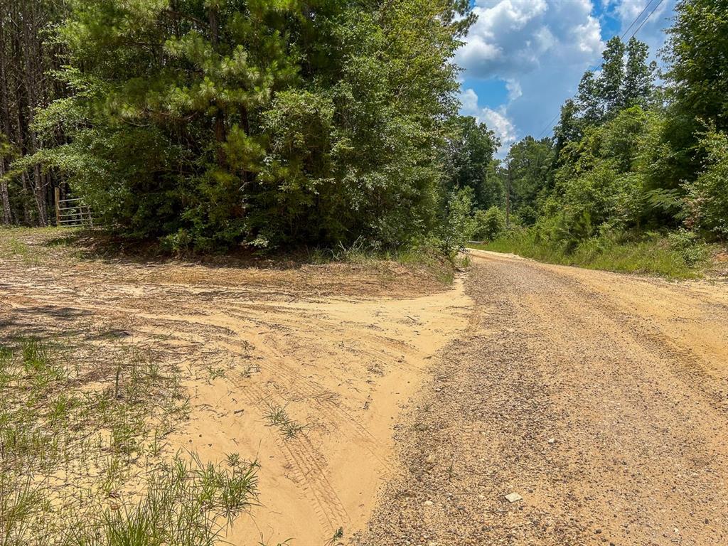 0 County Line Road Property Photo 15