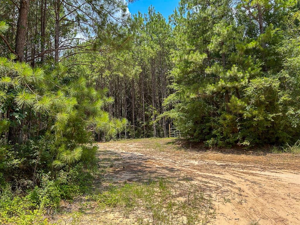 0 County Line Road Property Photo 16