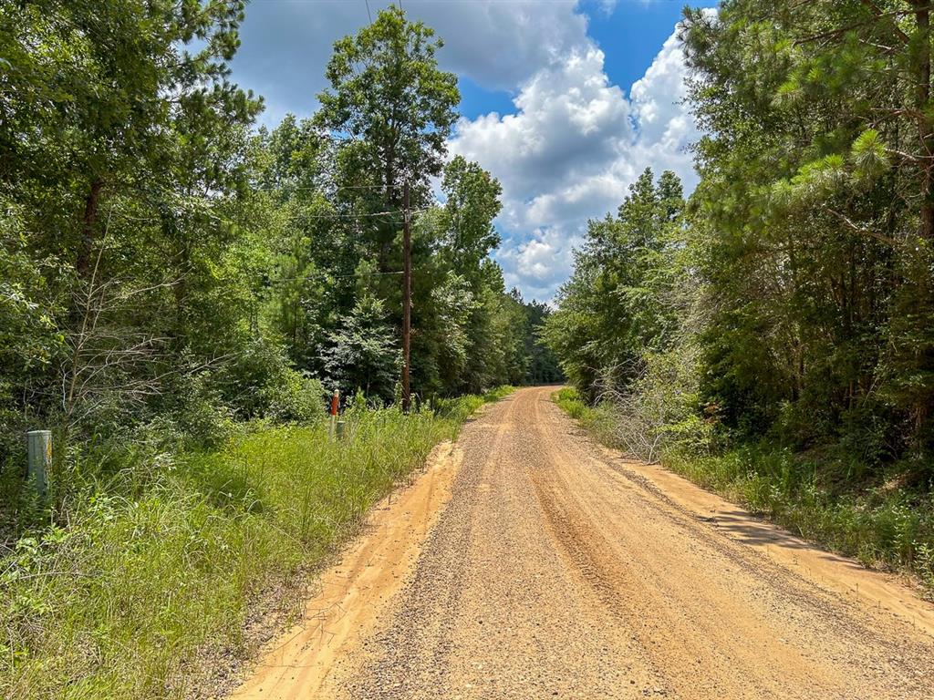 0 County Line Road Property Photo 17