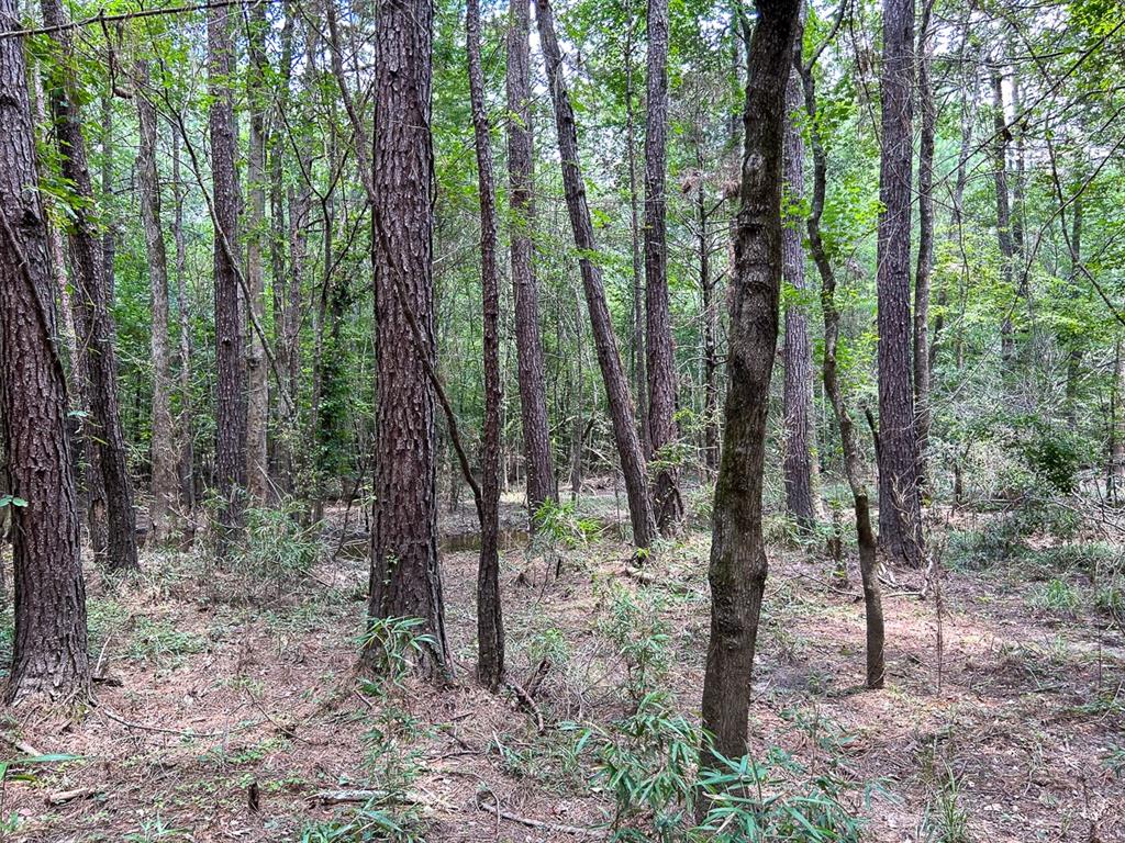 0 County Line Road Property Photo 18