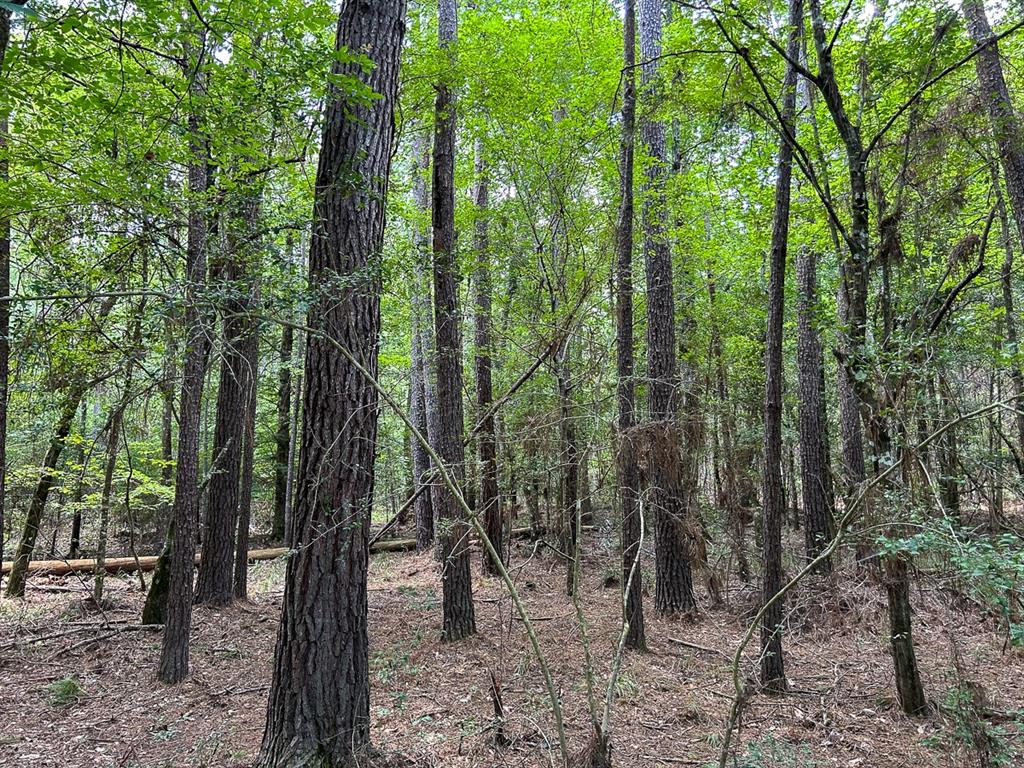 0 County Line Road Property Photo 19