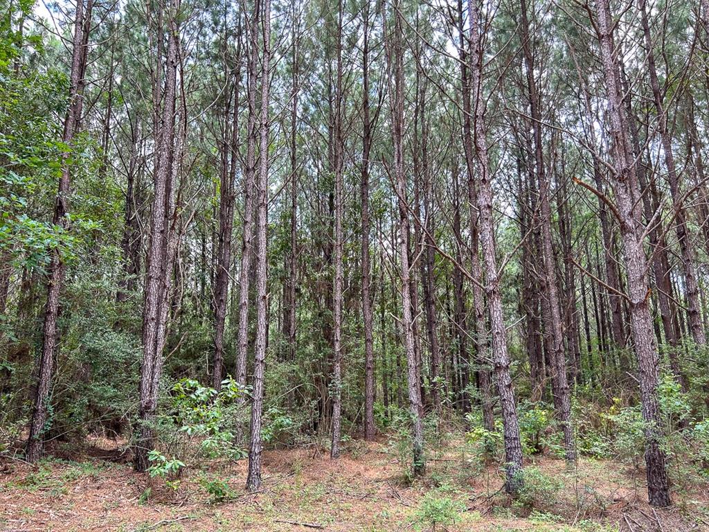 0 County Line Road Property Photo 20
