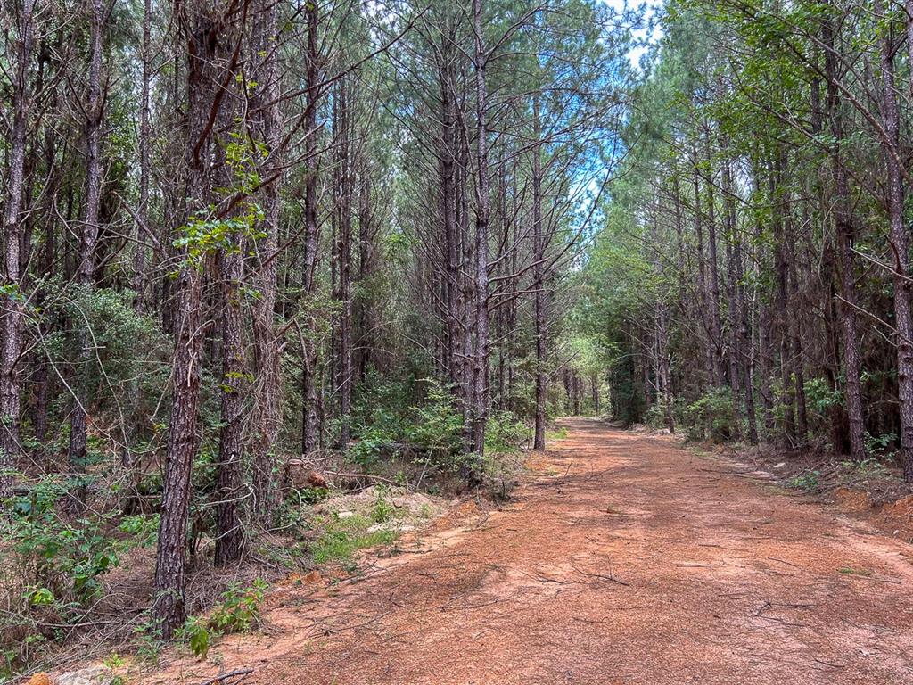0 County Line Road Property Photo 21