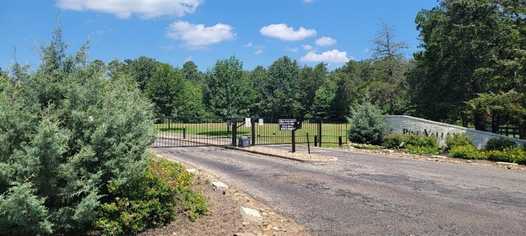 Tbd Pedernales Street Property Photo 2