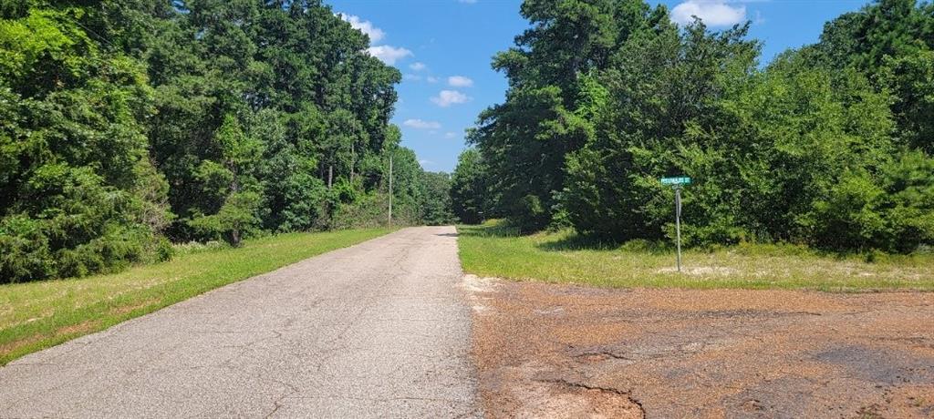 Tbd Pedernales Street Property Photo 14
