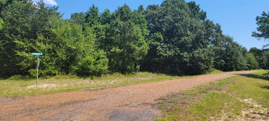 Tbd Pedernales Street Property Photo 15
