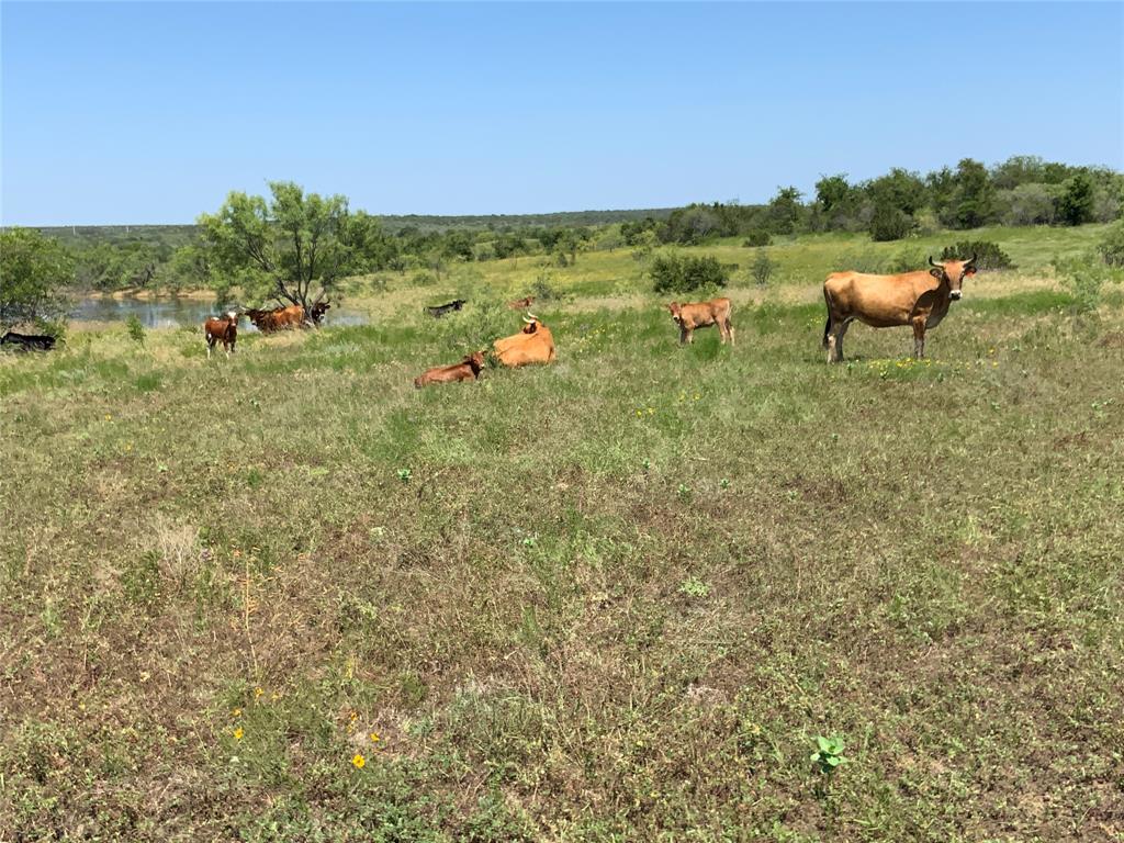 4801 Fm-1702 Property Photo 5