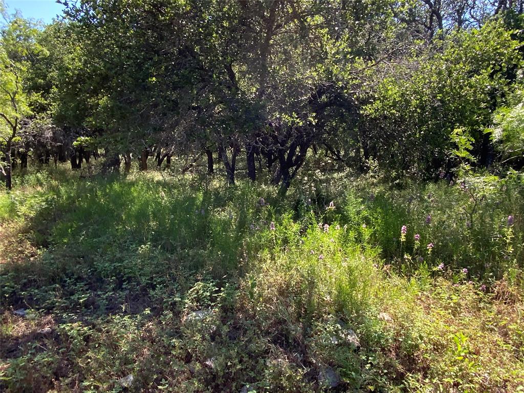 4801 Fm-1702 Property Photo 28