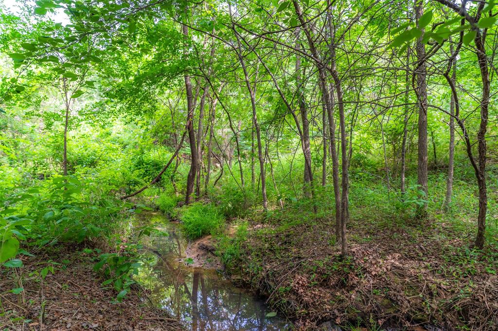 1090 Stone Trail Lane Property Photo 33