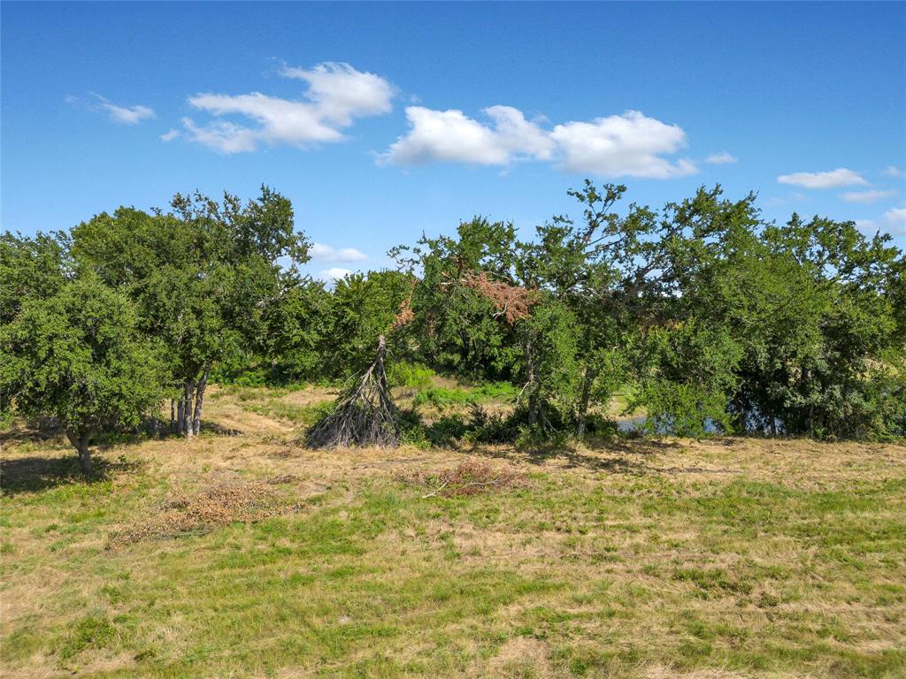 2031 Lindale Lane Property Photo 5