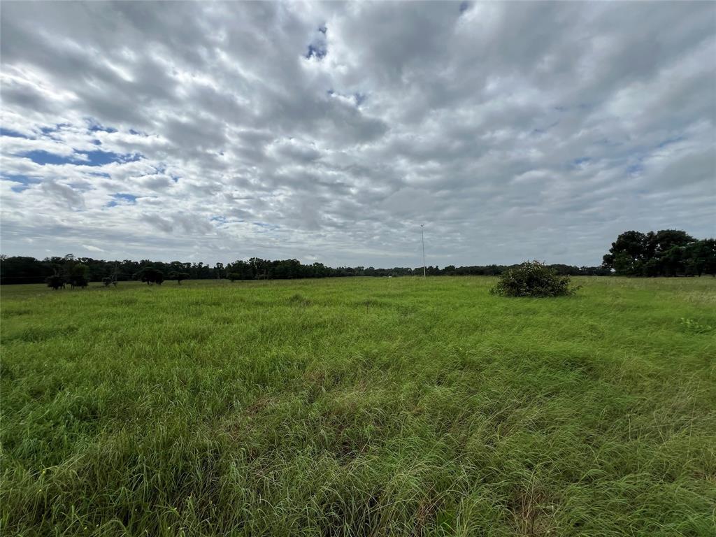 1130 Vz County Road 4106 Property Photo 10